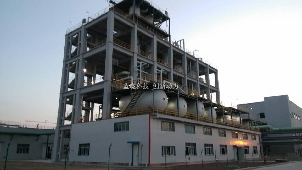 重慶紫光蛋氨酸項目順利試車成功